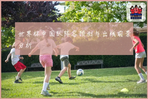 世界杯中国队阵容预测与出线前景分析