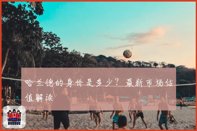 哈兰德的身价是多少？最新市场估值解读