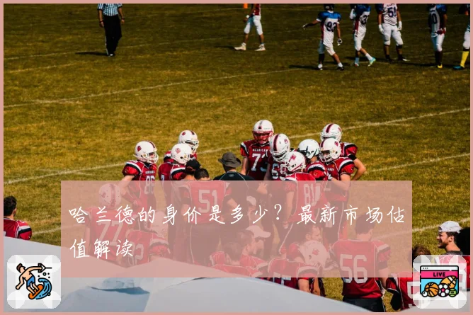 哈兰德的身价是多少？最新市场估值解读
